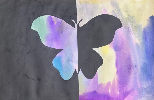 Birds, Bugs and Butterflies Tween Camp: July 15th - 18th 2025 Full Day