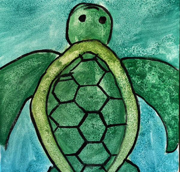 Sea Life Kids Camp: July 8th - 11th 2025 Full Day