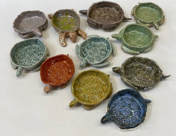 Turtle Dish May 10th 12:00PM - 1:30PM